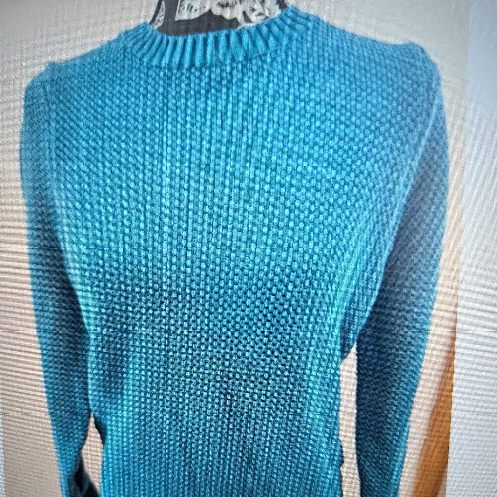 SIZE M APPLESEED Green Long Sleeve Sweater INVPV3043